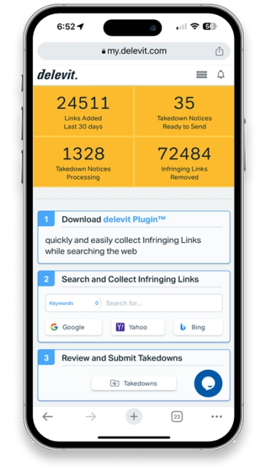 delevit Dashboard on Mobile Device